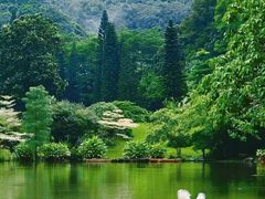 -深圳仙湖植物园