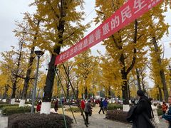 -百林公园-两江幸福广场