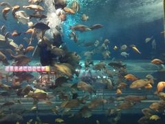 -秦皇岛新澳海底世界