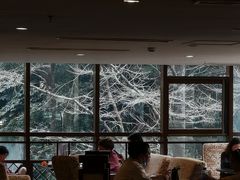 -宁海森林温泉