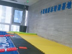 -小蓝鲸游泳培训基地(石景山店)