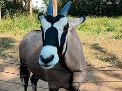 -大连森林动物园