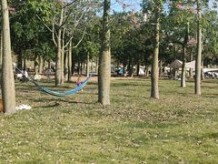 -风云岭森林公园