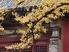 -晋祠公园