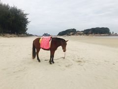 -马銮湾景区
