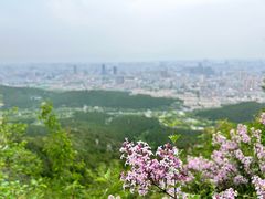 -佛慧山