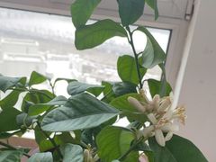 -松浦·观江国际