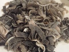 爆肚金生隆-金生隆(六铺炕店)