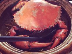 斯里兰卡特色咖喱蟹-Ministry of Crab(科伦坡店)
