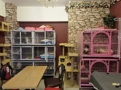 -猫咪咖啡店(新城大街店)