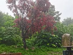 -东方红农耕博物馆
