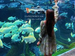 -波塞冬旅游度假区