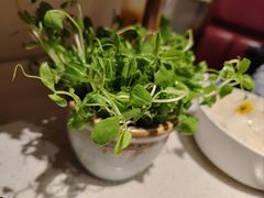 -牛村来人潮汕牛肉火锅(西单店)