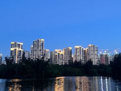 -五缘湾湿地公园
