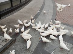 -王府井奥莱临潼小镇(临潼店)