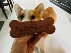 -Shake Shack(西单大悦城店)