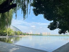 -天鹅湖体育公园