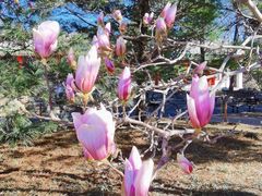 -国家植物园南园