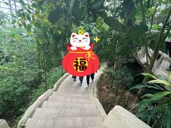 -南山植物园