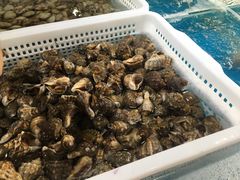 -一号码头蒸汽海鲜自助
