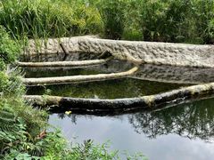 -成都市活水公园