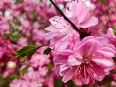 -长春市南湖公园