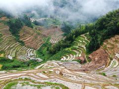 -紫鹊界梯田景区