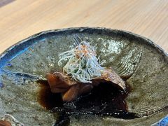 -银座岩