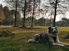 -上海海湾国家森林公园