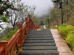 -小南山公园