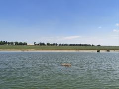 -亿利库布其七星湖沙漠生态旅游区