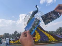 -七彩云南欢乐世界