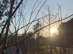 -幸福西饼生日蛋糕·下午茶(闵行店)