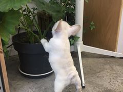 -GOOD好事咖啡(会展城店)