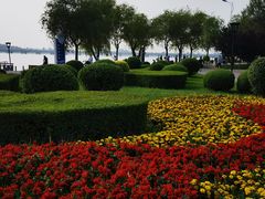 -丁香湖公园