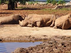 -沈阳森林动物园