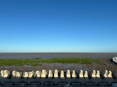 -南汇嘴观海公园