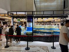 -四海蒸鲜蒸汽海鲜自助(北戴河店)