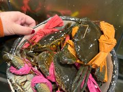 -辣螃铠盆盆蟹大排档(总店)