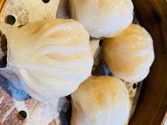 虾饺-衡山汇·高级粤菜(霄云路店)