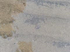 -南澳海滩