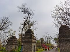 -广富林郊野公园