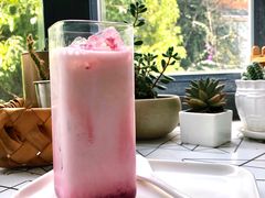 红丝绒拿铁-MZ猫咖