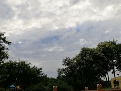 -大兴滨河森林公园