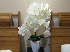 -益友堂盲人推拿正骨穴位按摩工作室