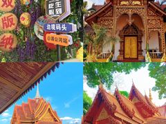 -西双版纳原始森林公园