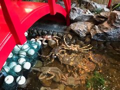 -綱元·海鲜豆捞(明州里店)