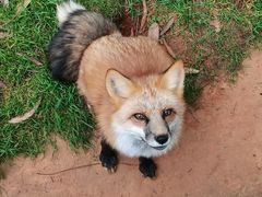 -昆明动物园