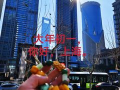 -上海凯宾斯基大酒店