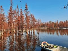 -白鹭湾湿地公园